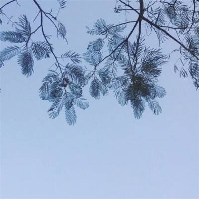 梦战苍穹手游官方版(暂未上线)v1.1 安卓版